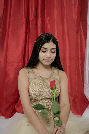 DSC_7294